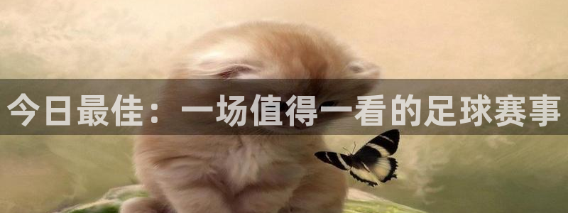 今日最佳：一场值得一看的足球赛事