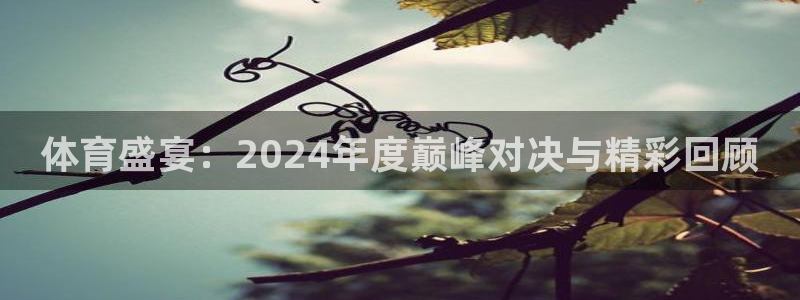 体育盛宴：2024年度巅峰对决与精彩回顾