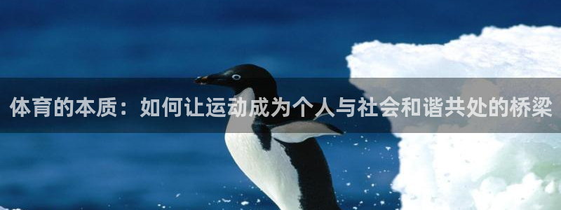 体育的本质：如何让运动成为个人与社会和谐共处的桥梁