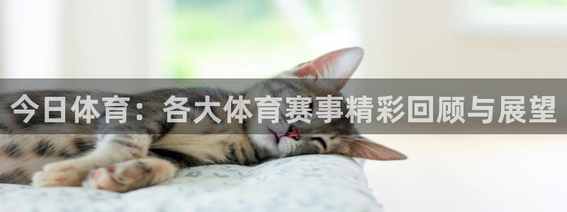 今日体育：各大体育赛事精彩回顾与展望