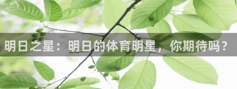 明日之星：明日的体育明星，你期待吗？
