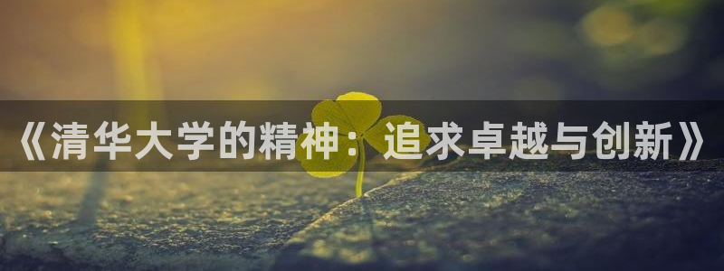 《清华大学的精神：追求卓越与创新》