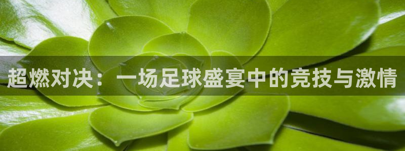 超燃对决：一场足球盛宴中的竞技与激情
