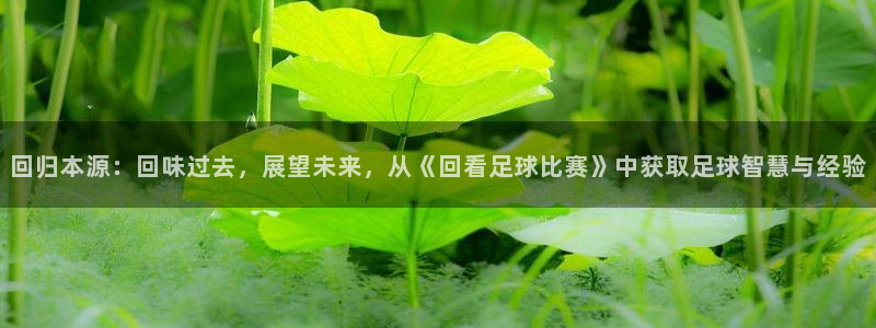 回归本源：回味过去，展望未来，从《回看足球比赛》中获取足球智慧与经验