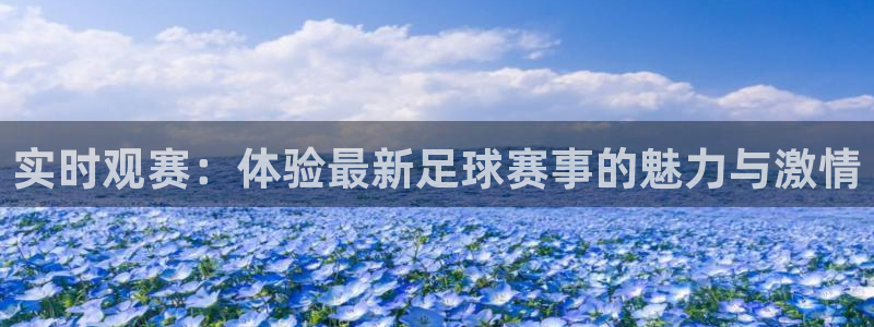 实时观赛：体验最新足球赛事的魅力与激情