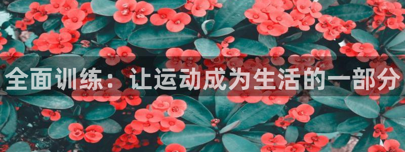 全面训练：让运动成为生活的一部分