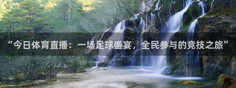 “今日体育直播：一场足球盛宴，全民参与的竞技之旅”