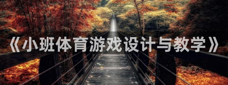 《小班体育游戏设计与教学》