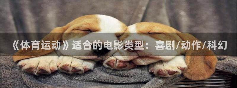 《体育运动》适合的电影类型：喜剧/动作/科幻