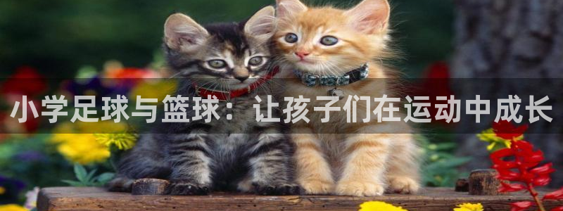 小学足球与篮球：让孩子们在运动中成长