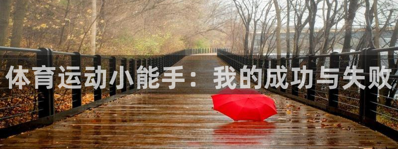体育运动小能手：我的成功与失败