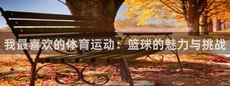 我最喜欢的体育运动：篮球的魅力与挑战