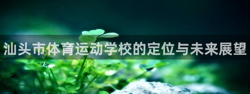 汕头市体育运动学校的定位与未来展望