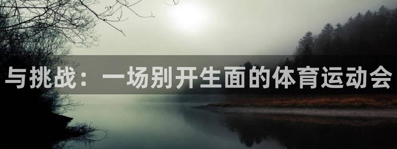 与挑战：一场别开生面的体育运动会