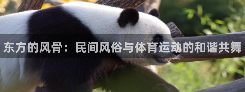 东方的风骨：民间风俗与体育运动的和谐共舞