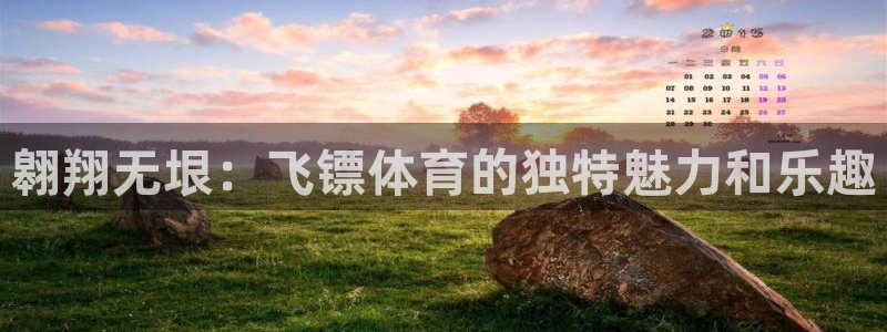 翱翔无垠：飞镖体育的独特魅力和乐趣