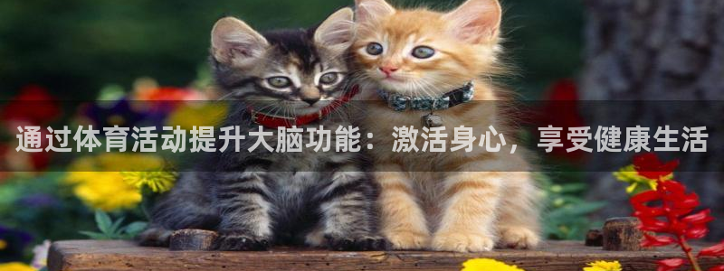 通过体育活动提升大脑功能：激活身心，享受健康生活