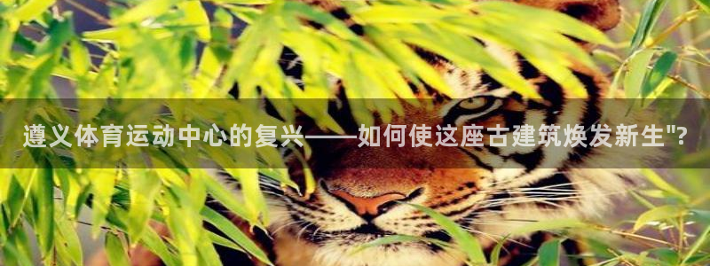 遵义体育运动中心的复兴——如何使这座古建筑焕发新生\