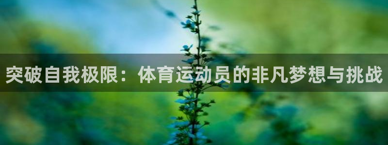 突破自我极限：体育运动员的非凡梦想与挑战