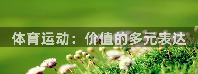 体育运动：价值的多元表达