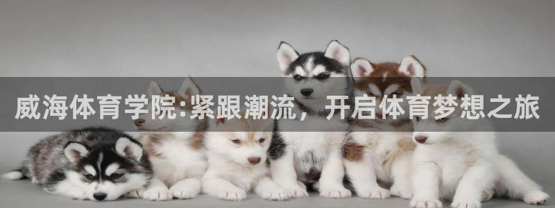威海体育学院:紧跟潮流，开启体育梦想之旅