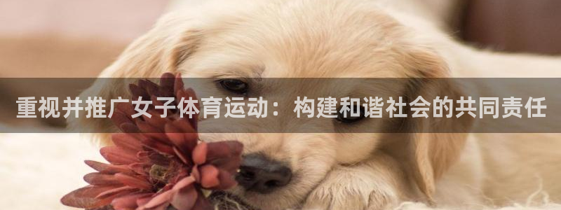 重视并推广女子体育运动：构建和谐社会的共同责任