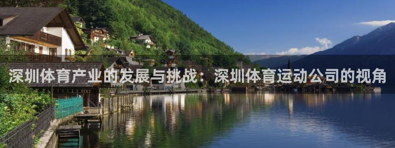 深圳体育产业的发展与挑战：深圳体育运动公司的视角