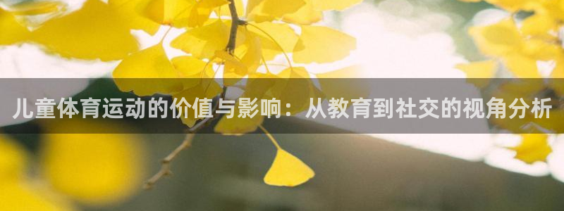 儿童体育运动的价值与影响：从教育到社交的视角分析