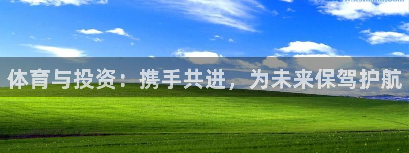 体育与投资：携手共进，为未来保驾护航