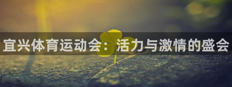 宜兴体育运动会：活力与激情的盛会