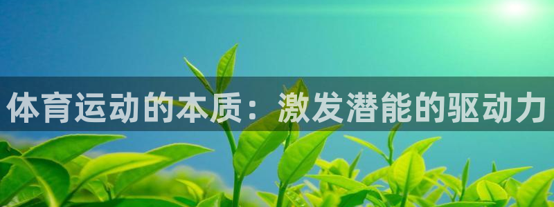 体育运动的本质：激发潜能的驱动力