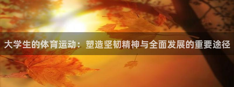 大学生的体育运动：塑造坚韧精神与全面发展的重要途径