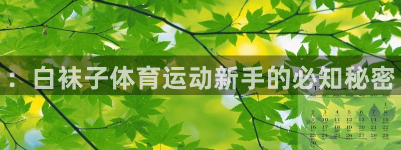 ：白袜子体育运动新手的必知秘密