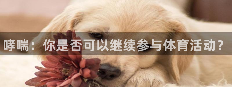 哮喘：你是否可以继续参与体育活动？