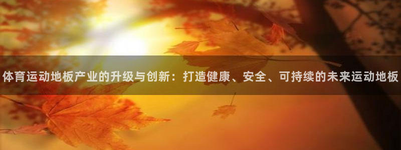 体育运动地板产业的升级与创新：打造健康、安全、可持续的未来运动地板