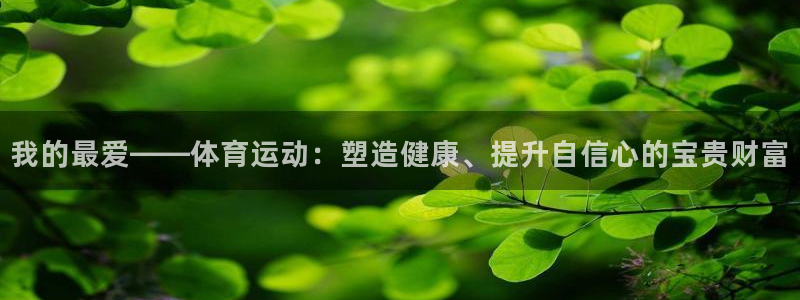 我的最爱——体育运动：塑造健康、提升自信心的宝贵财富