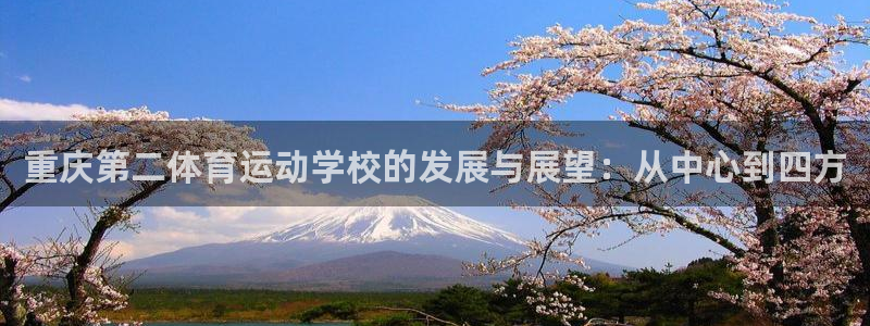 重庆第二体育运动学校的发展与展望：从中心到四方