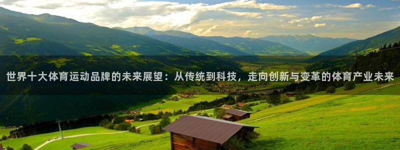 世界十大体育运动品牌的未来展望：从传统到科技，走向创新与变革的体育产业未来