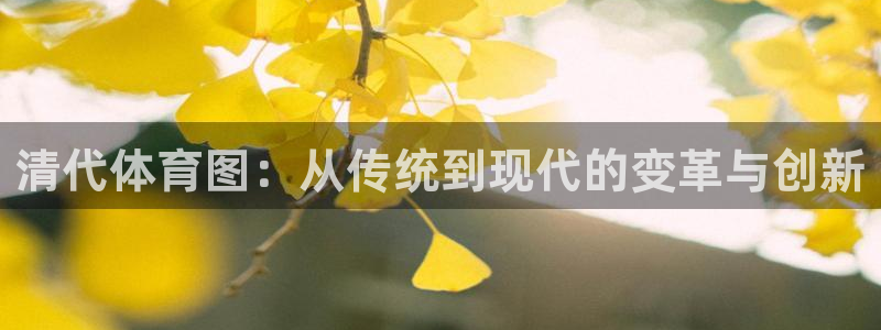 清代体育图：从传统到现代的变革与创新