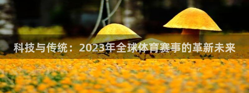 科技与传统：2023年全球体育赛事的革新未来