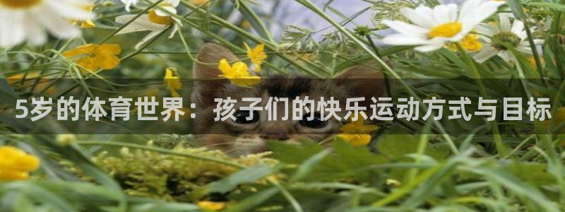 5岁的体育世界：孩子们的快乐运动方式与目标