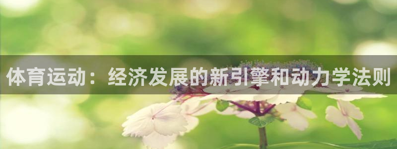 体育运动：经济发展的新引擎和动力学法则