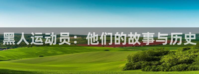 黑人运动员：他们的故事与历史