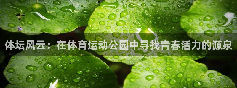 体坛风云：在体育运动公园中寻找青春活力的源泉