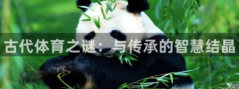 古代体育之谜：与传承的智慧结晶