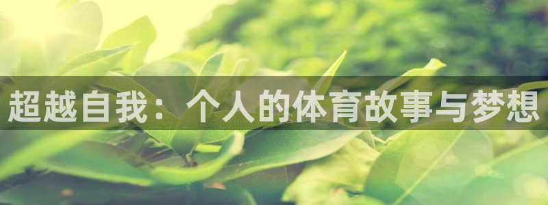 超越自我：个人的体育故事与梦想