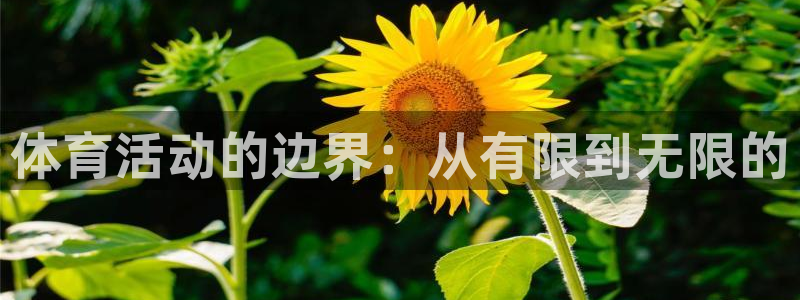体育活动的边界：从有限到无限的