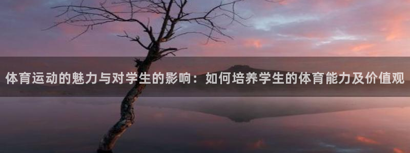 体育运动的魅力与对学生的影响：如何培养学生的体育能力及价值观