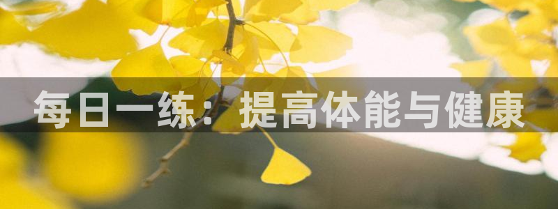 每日一练：提高体能与健康