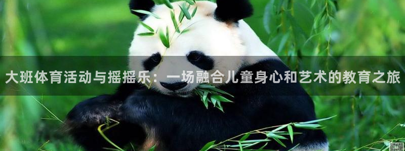 大班体育活动与摇摇乐：一场融合儿童身心和艺术的教育之旅
